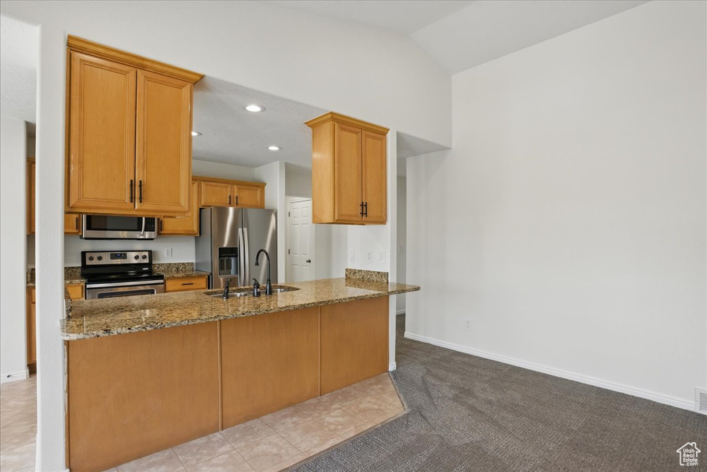 Kitchen with stainless steel appliances, stone countertops, a sink, a peninsula, and light colored carpet