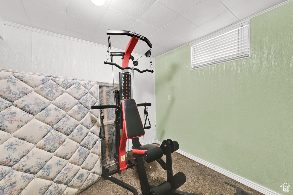 Exercise area with baseboards and carpet