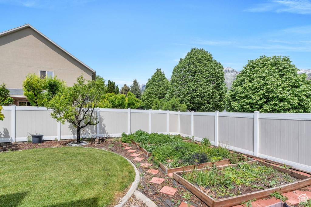 View of yard with a vegetable garden