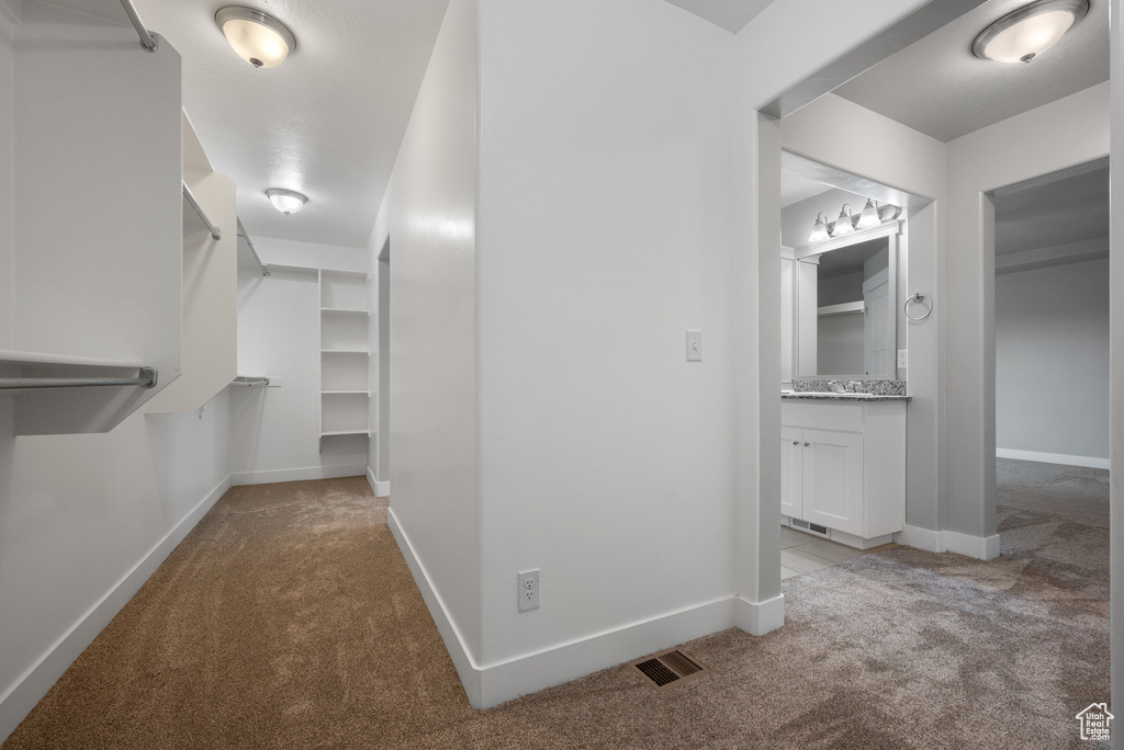 Spacious closet featuring carpet