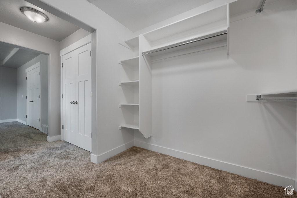 Spacious closet featuring carpet flooring