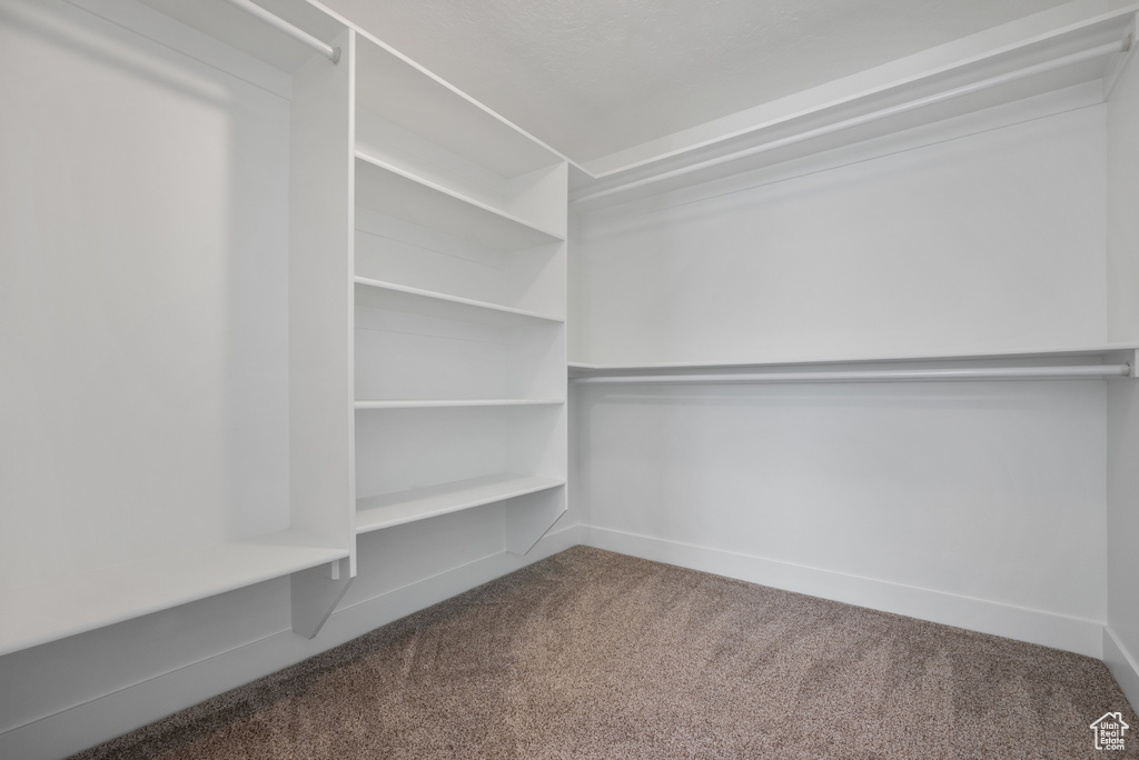 Walk in closet with carpet flooring
