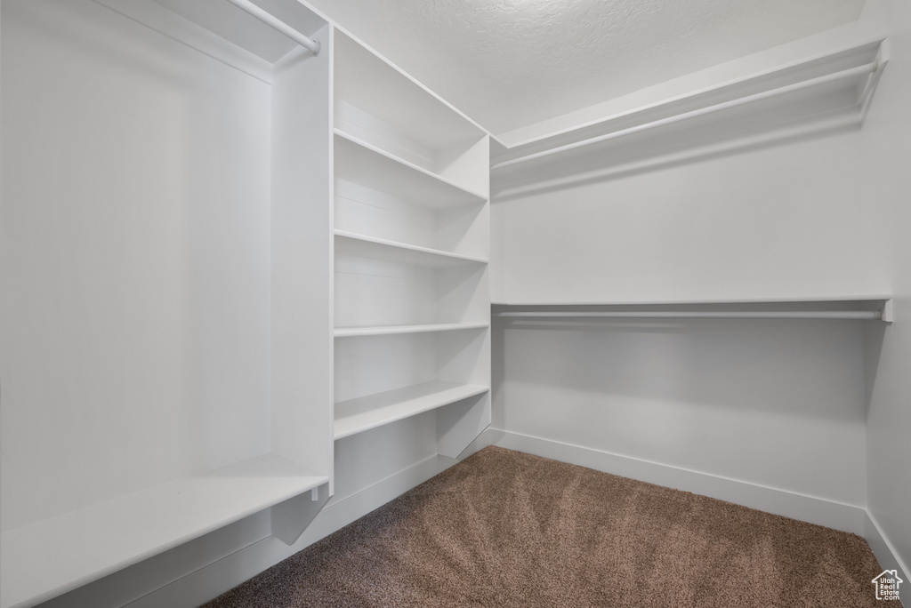 Spacious closet with carpet floors