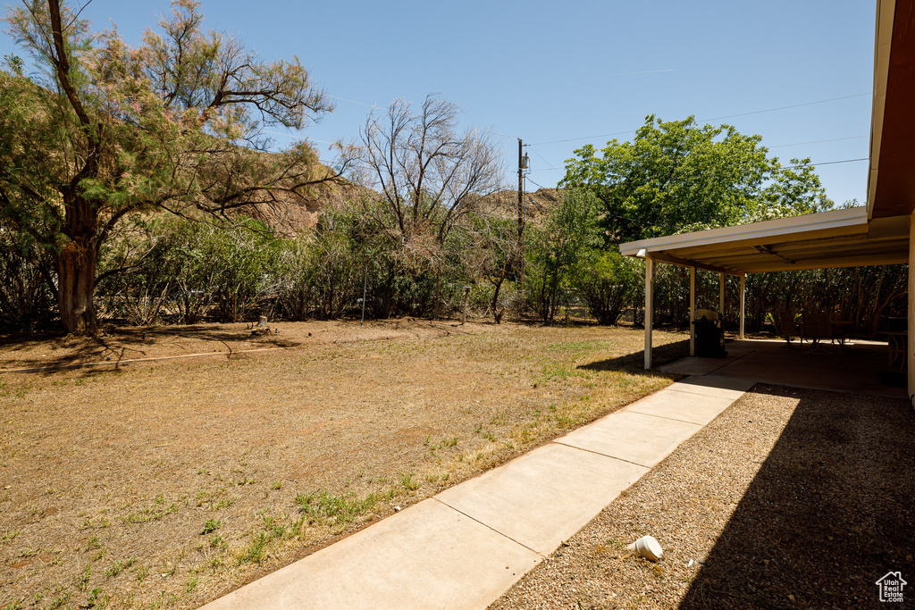 View of green lawn