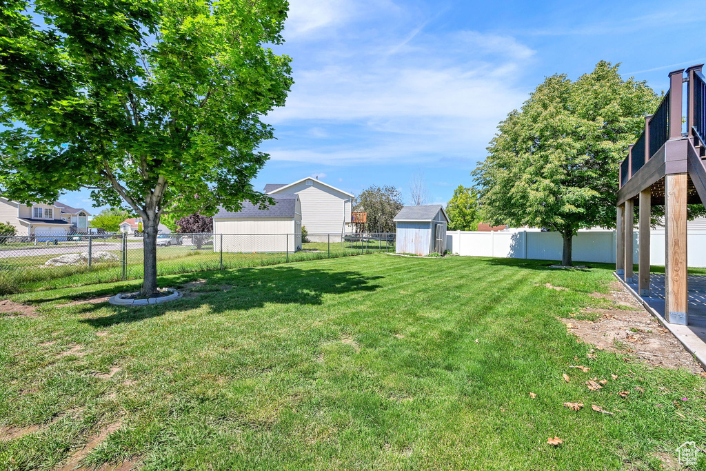 View of yard