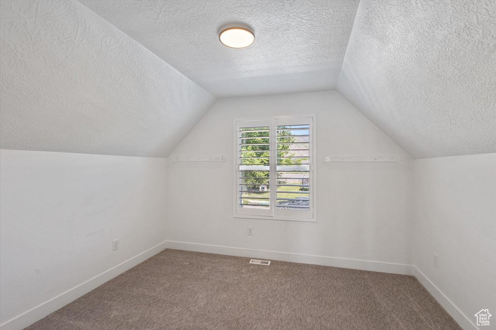 Additional living space featuring a textured ceiling, lofted ceiling, carpet, and baseboards
