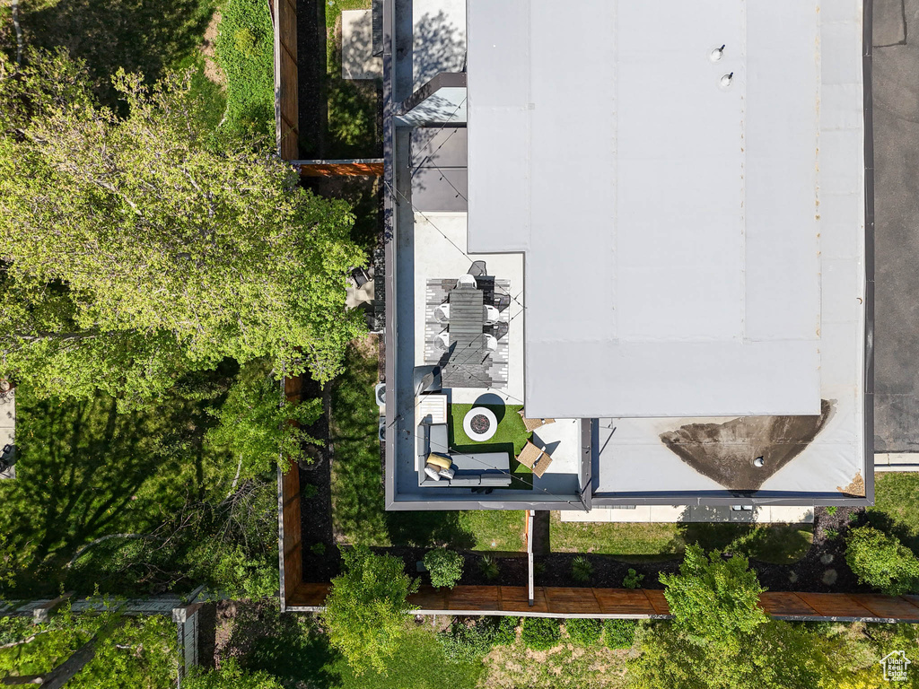 Bird\'s eye view