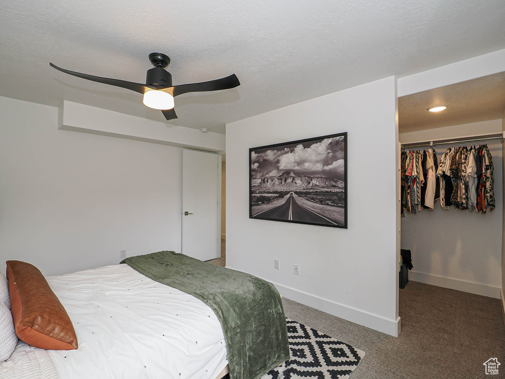Bedroom featuring baseboards, a walk in closet, carpet flooring, a closet, and a ceiling fan