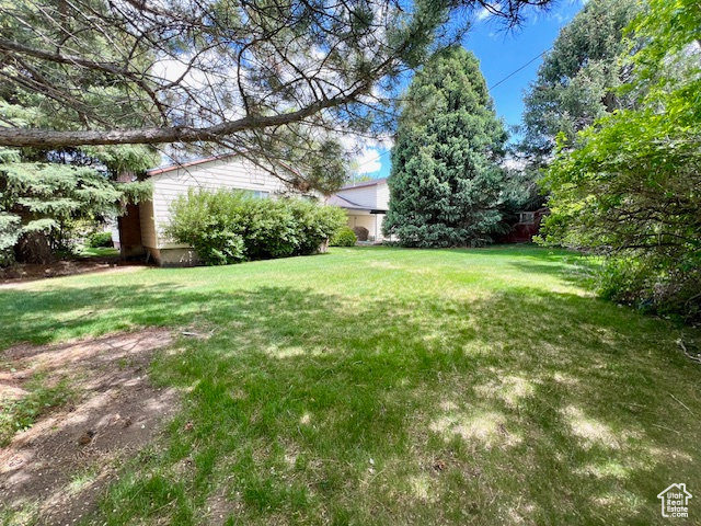 View of green lawn