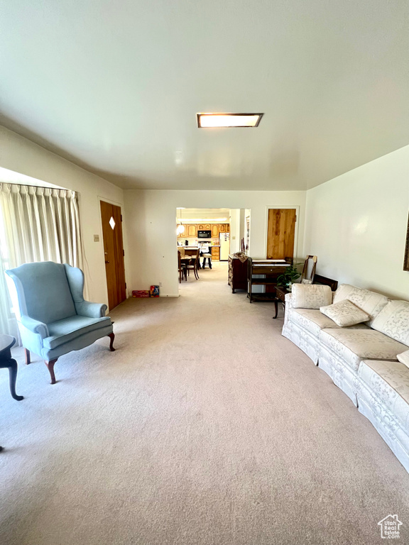 Living area with carpet