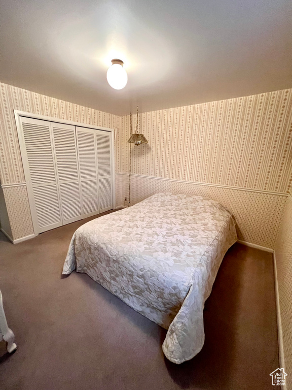 Carpeted bedroom featuring wallpapered walls, a closet, and wainscoting