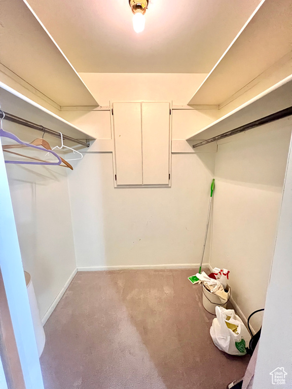Walk in closet with light colored carpet