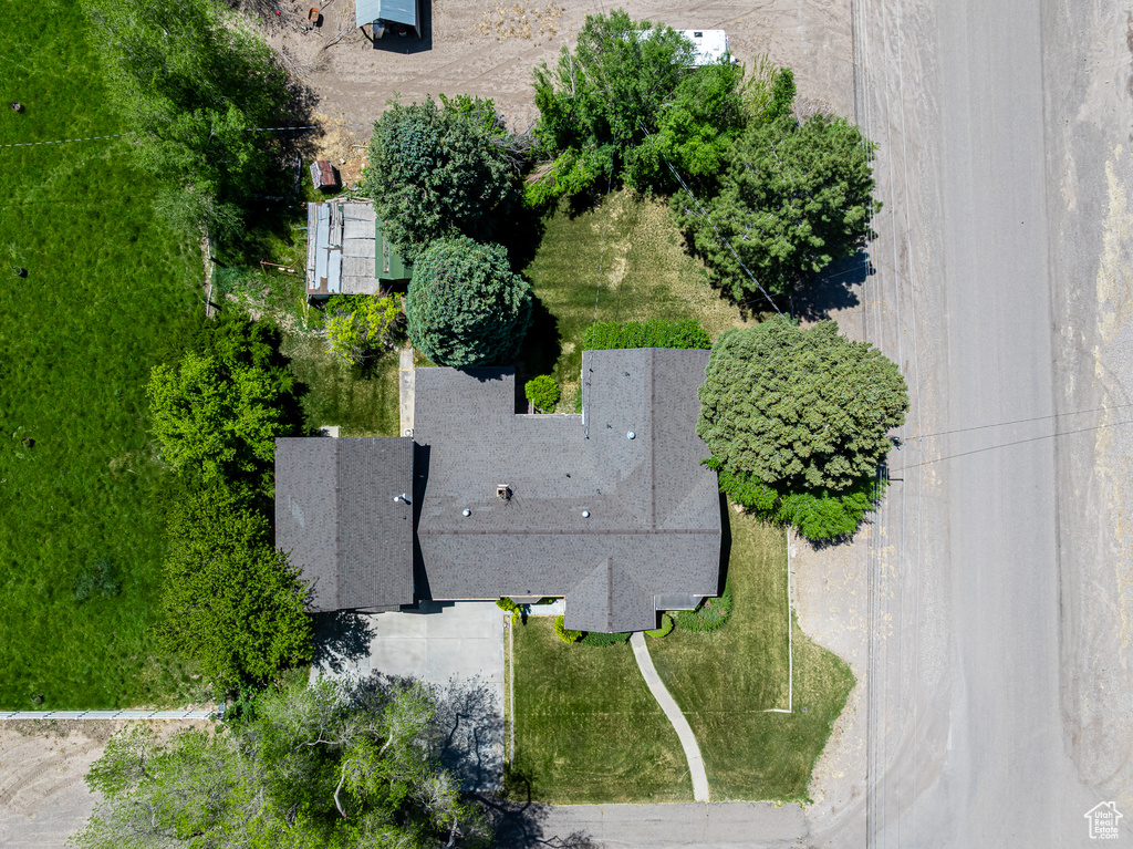 Bird\'s eye view