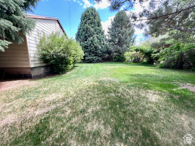View of grassy yard