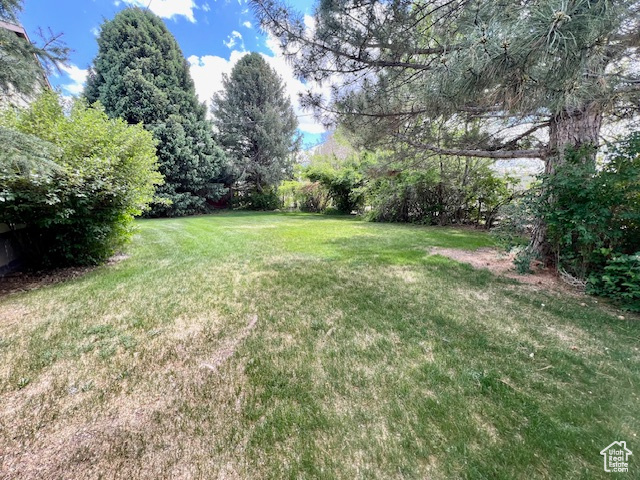 View of green lawn
