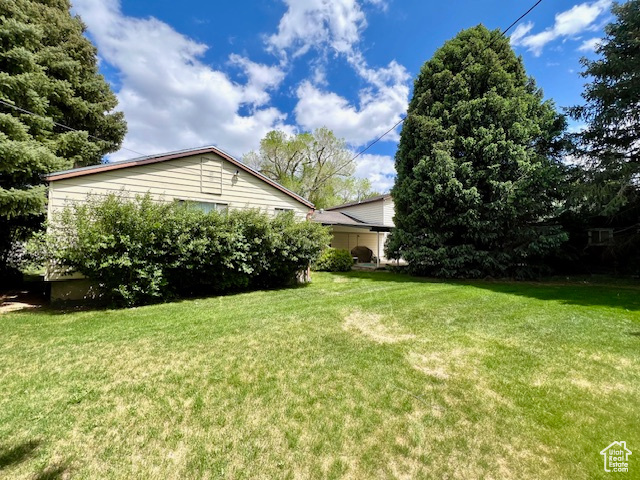 View of grassy yard