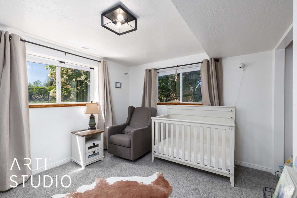 Carpeted bedroom featuring a textured ceiling, multiple windows, baseboards, and a crib