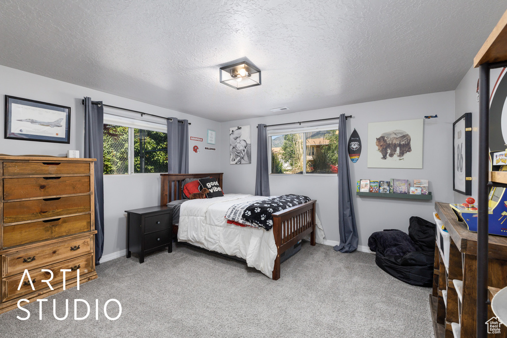 Carpeted bedroom with multiple windows, a textured ceiling, and baseboards