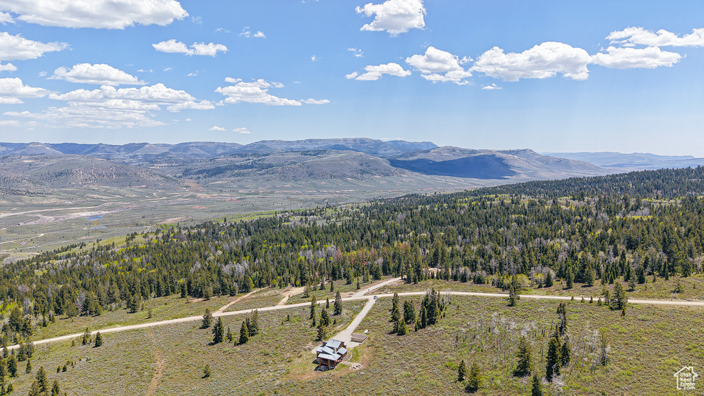 Mountain view featuring a forest