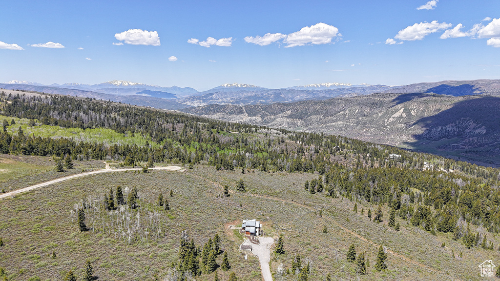 Mountain view with a forest