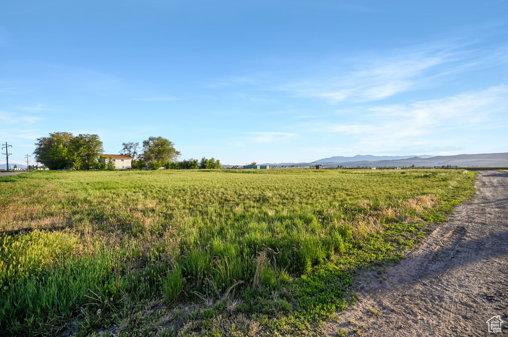 View of yard with a mountain view and a rural view