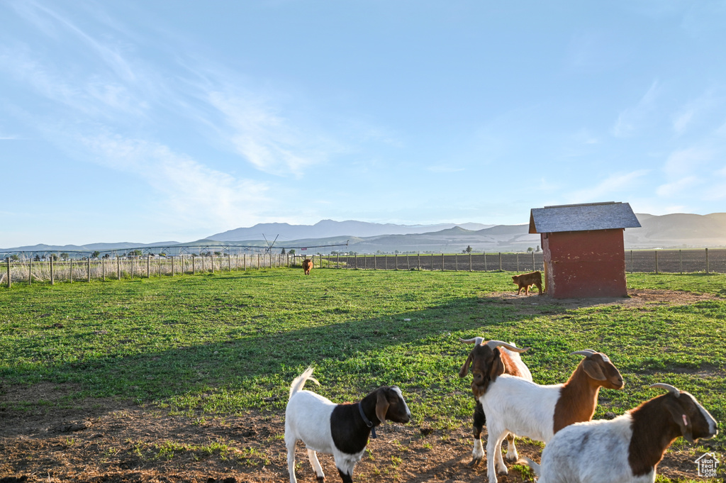 View of yard featuring a mountain view and a view of rural / pastoral area