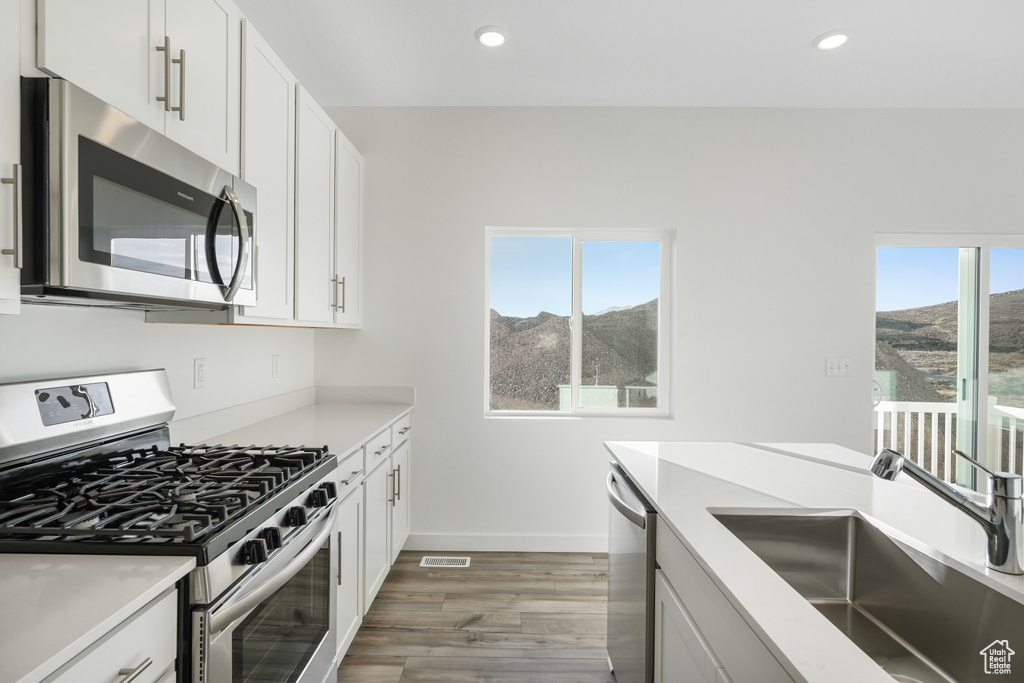 Kitchen with stainless steel appliances, a mountain view, a sink, light wood-style flooring, and light countertops
