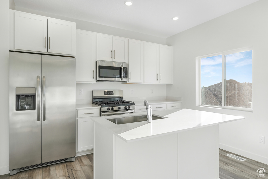Kitchen with stainless steel appliances, a sink, recessed lighting, and white cabinets