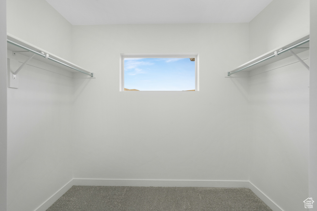 Spacious closet with carpet floors