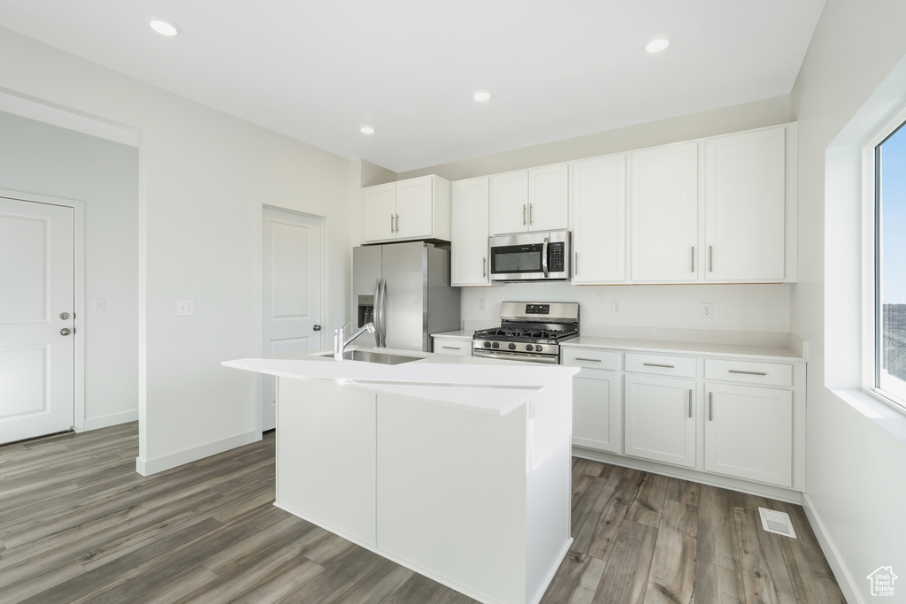 Kitchen with appliances with stainless steel finishes, a sink, healthy amount of natural light, a kitchen island with sink, and recessed lighting
