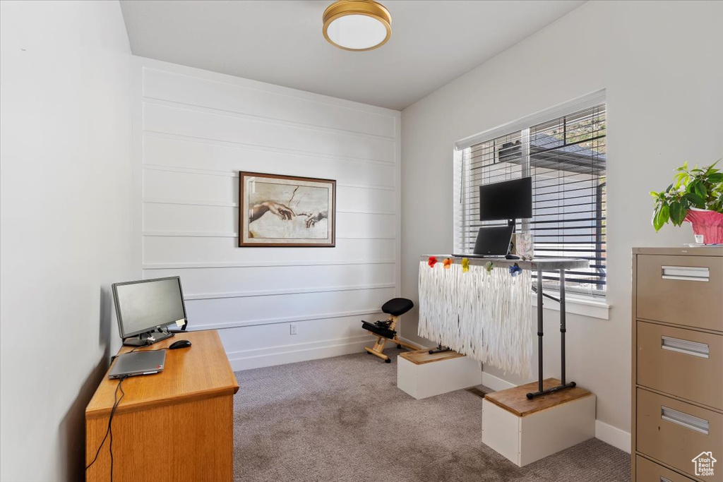 Office with carpet floors and baseboards