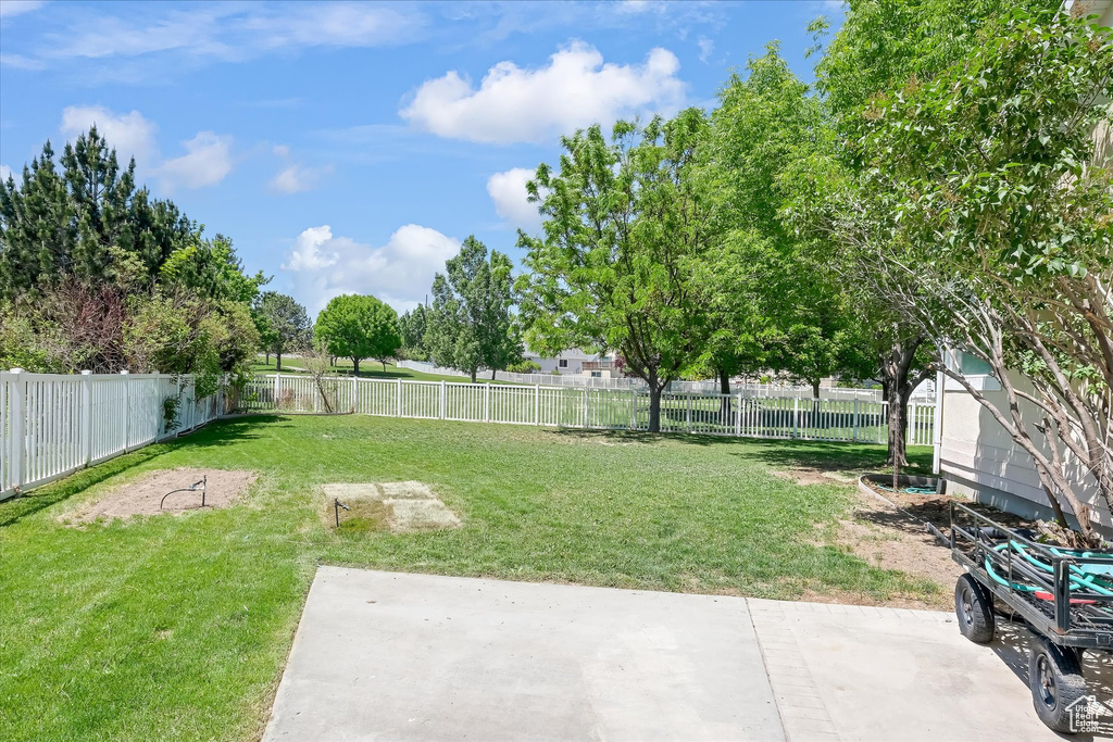 View of yard featuring a patio area