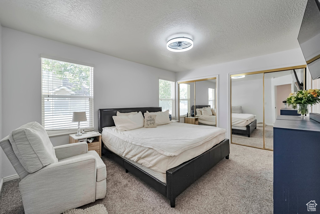 Carpeted bedroom with two closets and a textured ceiling