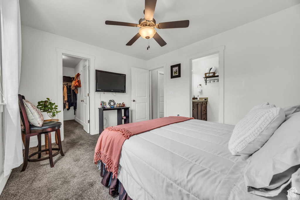 Bedroom featuring a spacious closet, carpet floors, a closet, and ceiling fan