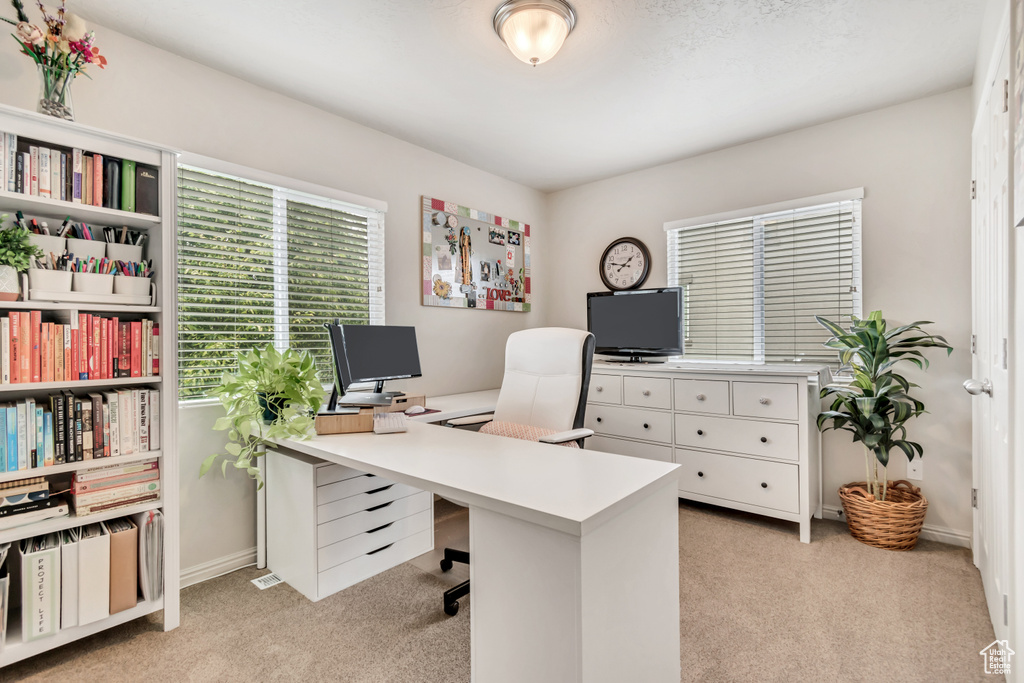 Office featuring light carpet
