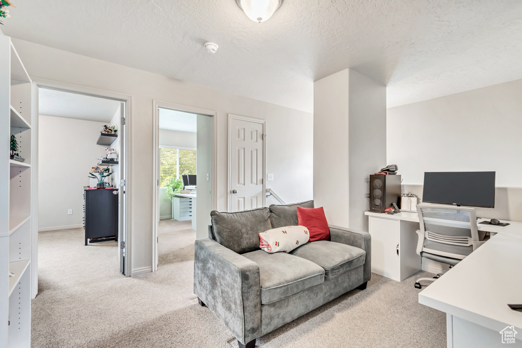 Home office with light carpet and a textured ceiling