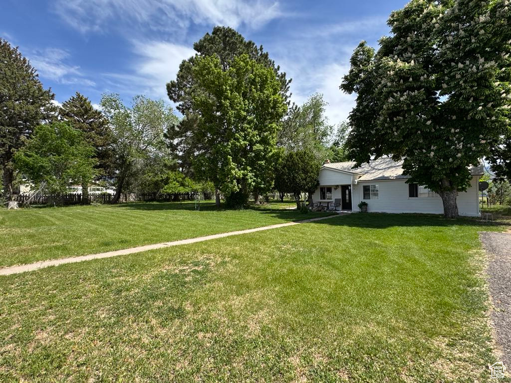 View of grassy yard