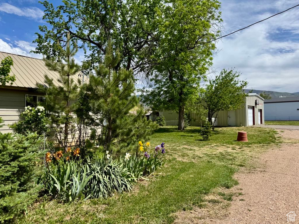 View of grassy yard featuring driveway, an outdoor structure, and a garage