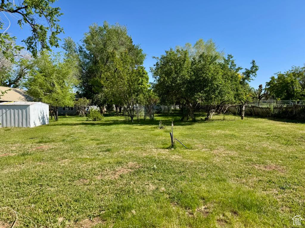 View of green lawn
