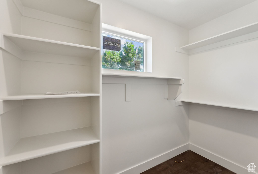 View of walk in closet