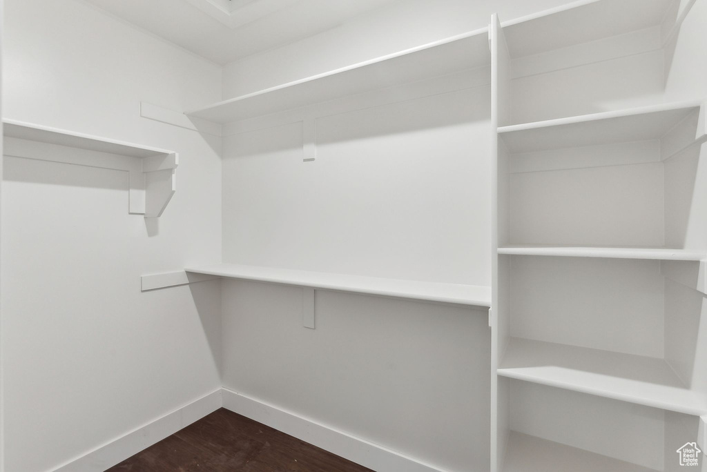 Spacious closet featuring dark wood-type flooring