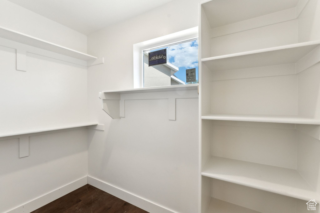 Spacious closet with dark wood finished floors