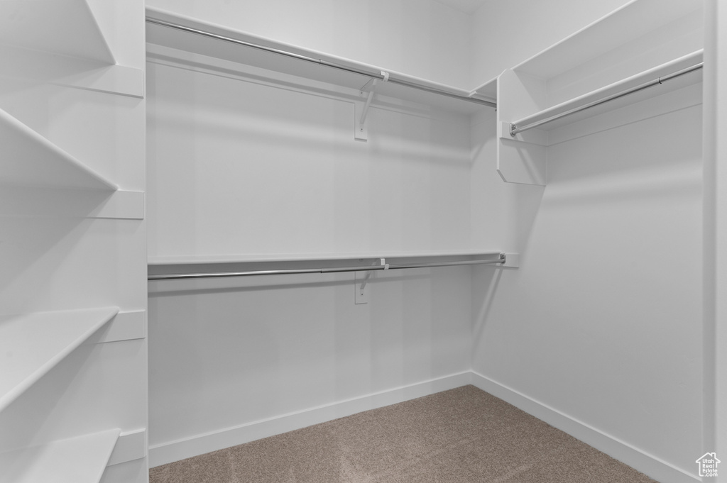 Spacious closet featuring carpet floors