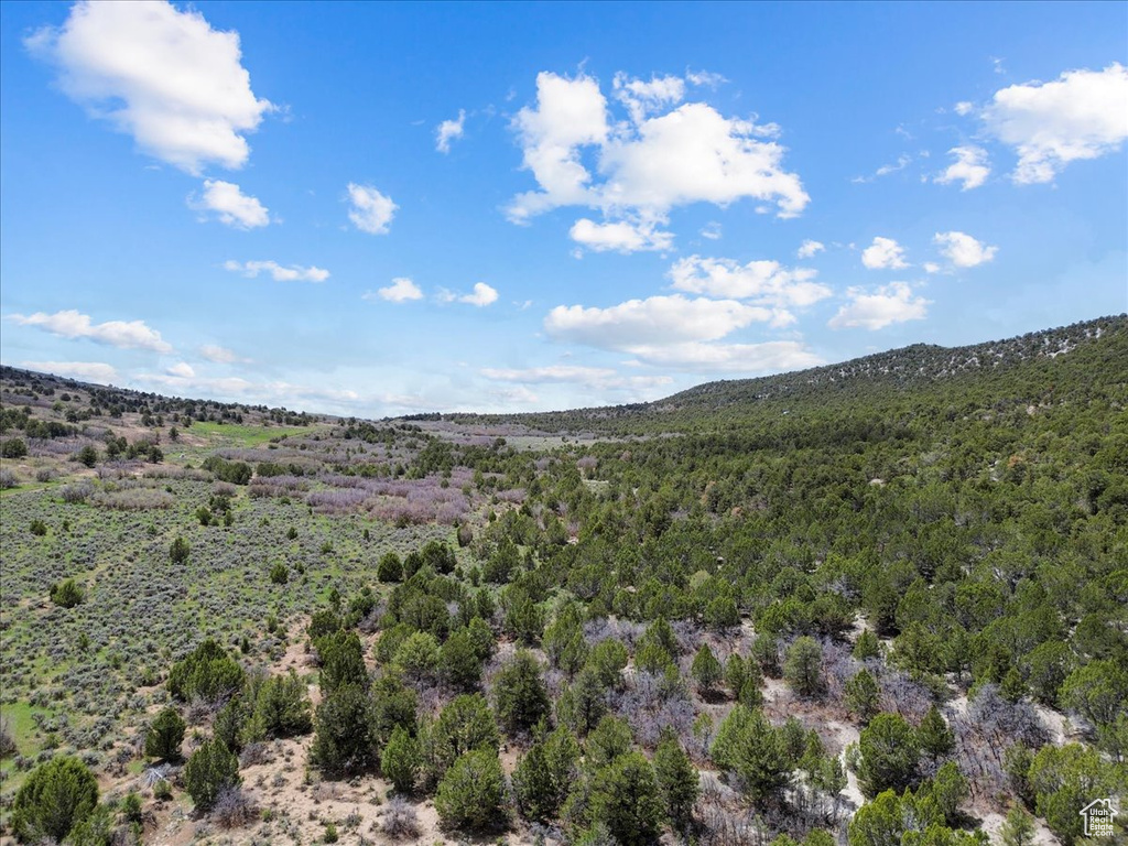 View of mountain background with a forest