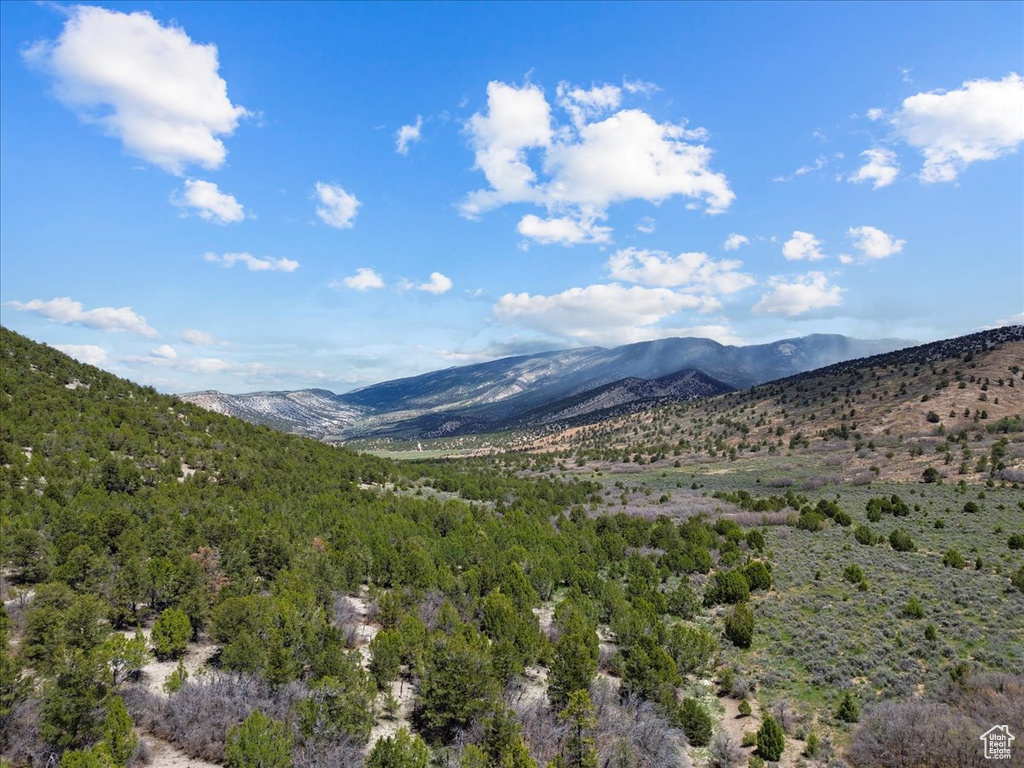 View of mountain backdrop featuring a forest