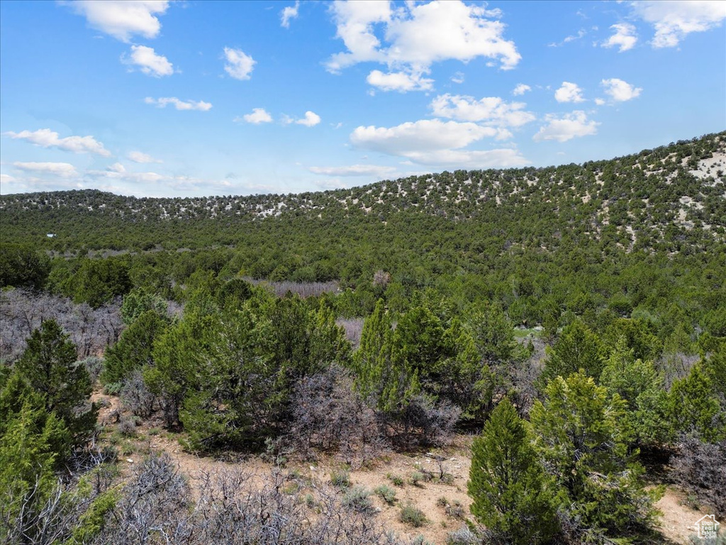 View of mountain background with a forest