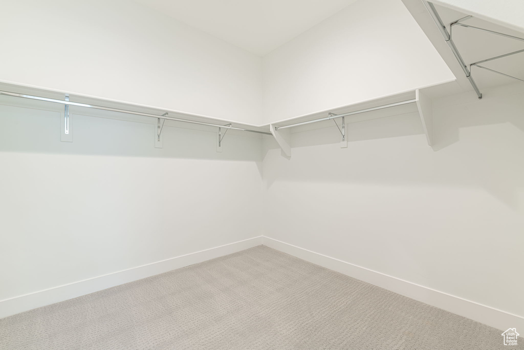 Spacious closet featuring light carpet
