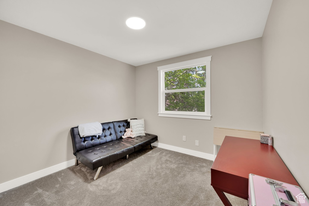 Living area featuring baseboards and carpet floors