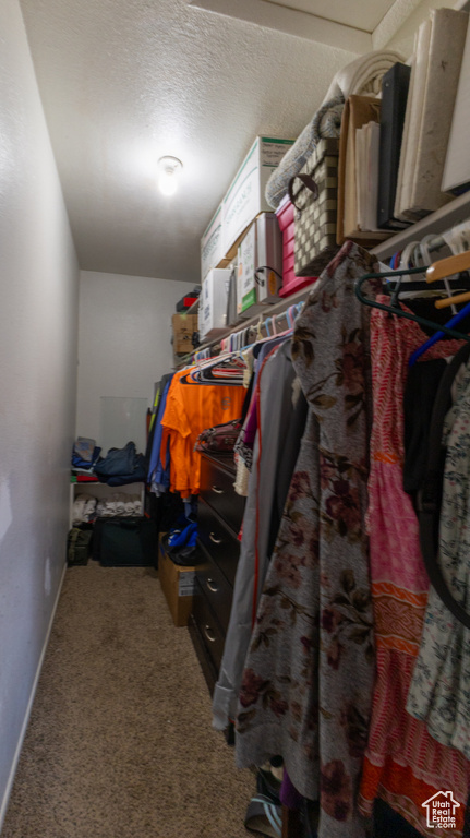 Walk in closet featuring carpet flooring