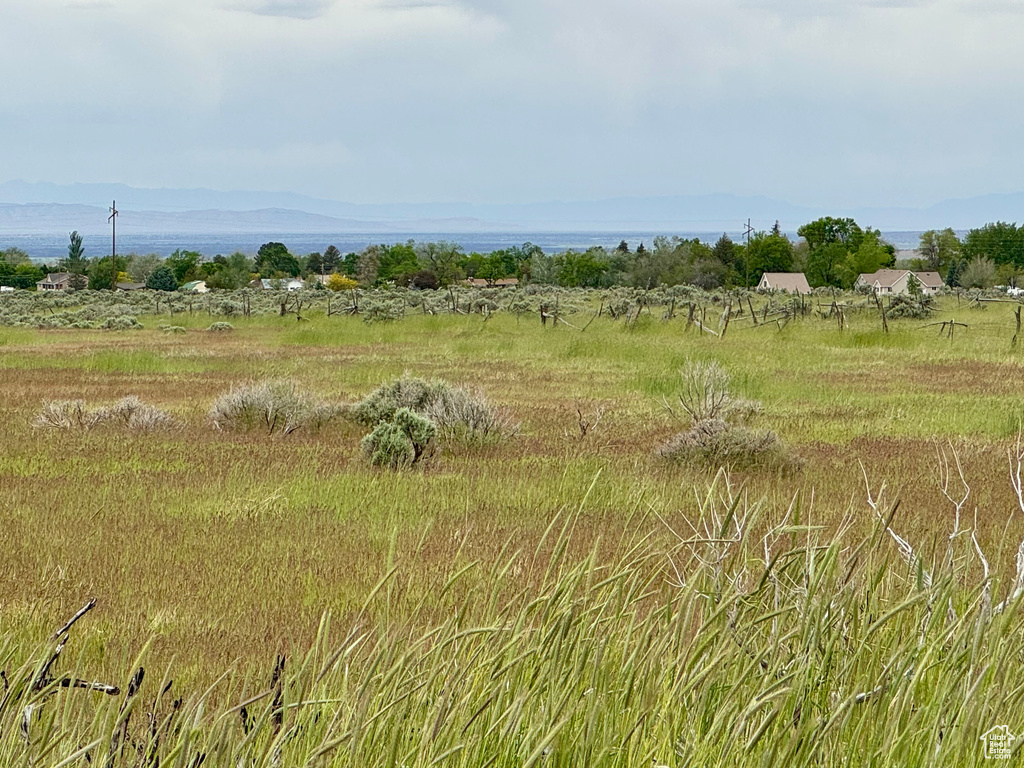 View of local wilderness featuring rural landscape